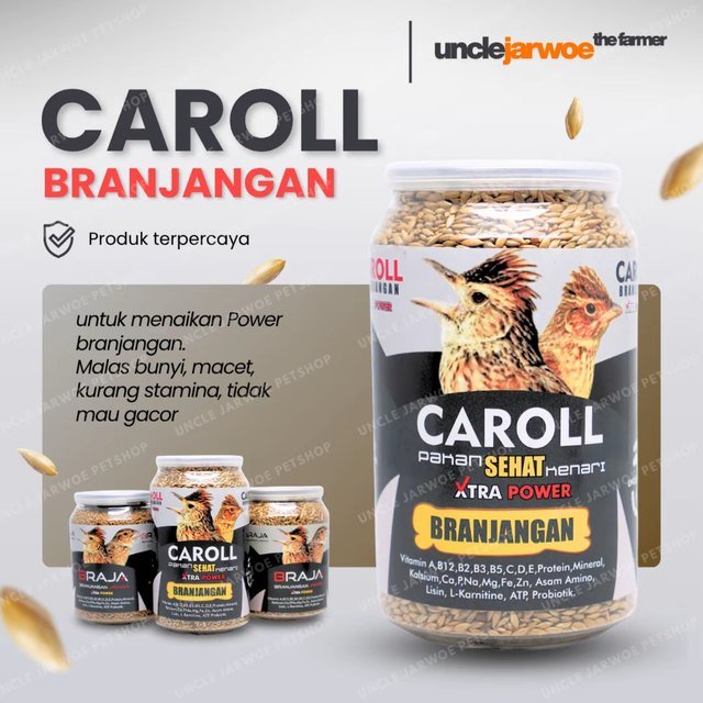 unclejarwoe BRANJANGAN CAROLL Pengacor Burung Macet Susah Gacor Cuma Ngeriwik
