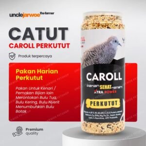 unclejarwoe CAROLL Perkutut untuk Pendongkrak Stamina GACOR