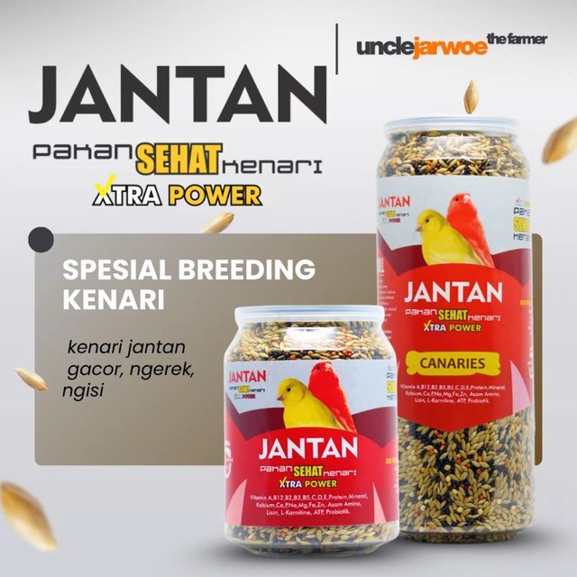 unclejarwoe JANTAN Pakan Sehat Kenari Gacor Ngerek Ngisi Breeding